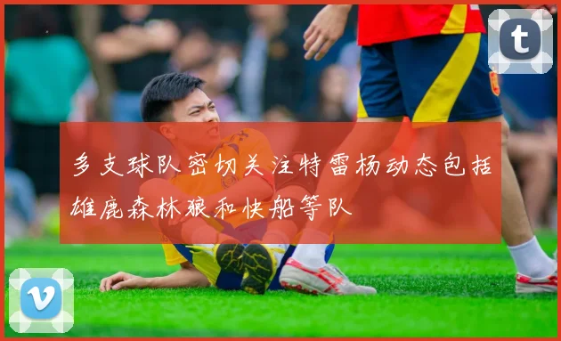 多支球队密切关注特雷杨动态包括雄鹿森林狼和快船等队