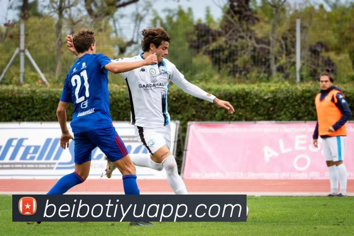 App Interface Preview