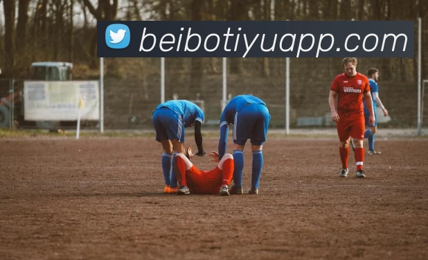 贝博体育APP 封面图